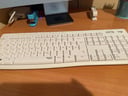 IMG_63d4c7b8ee6c0_20230128065904976575.jpeg