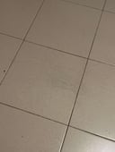 IMG_64c4460c341b7_20230728224948213430.jpg