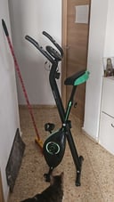 IMG_66511ca4616b0_20240524230300399023.