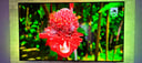 IMG_6659dbd2b8656_20240531141650755285.