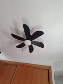 IMG_665c194a63503_20240602070338406786.