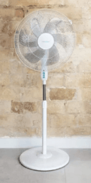 IMG_667bc787abb6c_20240626074719703338.