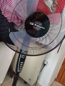 IMG_66951e7325500_20240715130451152830.