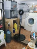 IMG_66a148873679d_20240724183135223132.