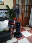 IMG_66a7b8f77b446_20240729154455504901.