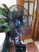 IMG_66a7b8f9bb938_20240729154457768311.